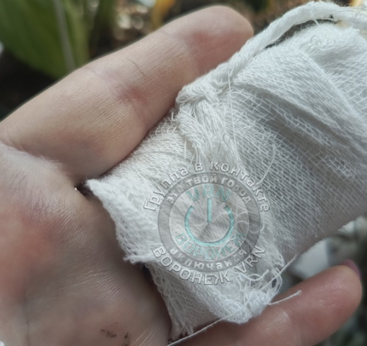 В Воронеже возбудили уголовное дело после травмирования пассажирки в автобусе