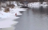 Мужчина в плавках искупался в подмосковном водоеме в мороз