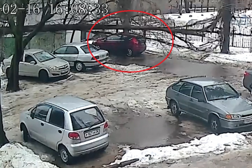 В Воронеже выписывают пенсионерку, на которую рухнуло дерево