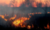 Сезон ландшафтных пожаров начался в Воронежской области