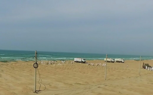 Воронежец добился компенсации за сорванный из-за мазута отдых в Анапе