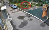 Вандал уничтожил деревья, посаженные детьми в центре Воронежа