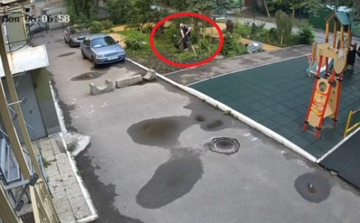 Вандал уничтожил деревья, посаженные детьми в центре Воронежа