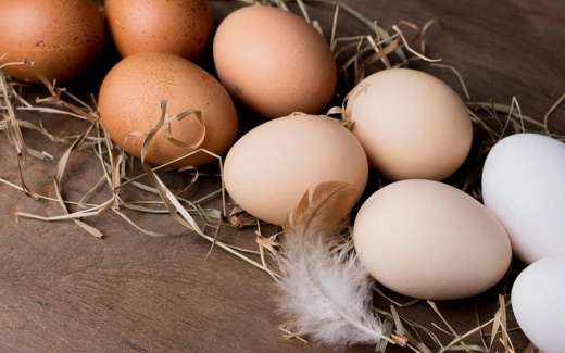 Белгородские власти компенсируют 15% затрат кооперативам, если они закупятся у фермеров на 50 млн рублей в год