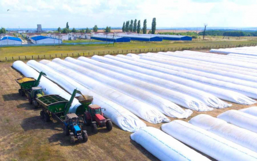 Суд ввел наблюдение в отношении «Арлан-машин» — структуры ростовской «Лилиани» в ОЭЗ «Липецк»