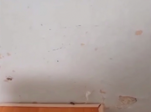 СК возбудил уголовное дело из-за неблагоприятных условий в больнице под Воронежем после публикации Собчак