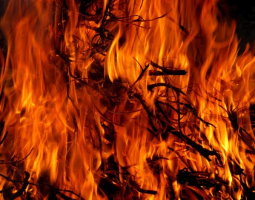 Ландшафтные пожары произошли в ещё четырёх районах Воронежской области
