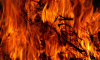 Ландшафтные пожары произошли в ещё четырёх районах Воронежской области