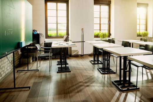 Воронежские школьники и учителя пожаловались Мизулиной на внезапный перенос каникул