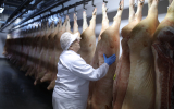АККОР: цены на свинину в России вырастут на 10-20 процентов