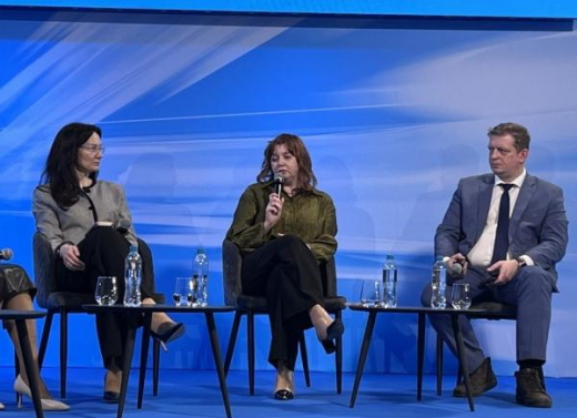 Лебединая верность. Две трети российских компаний не перестали использовать зарубежные ERP