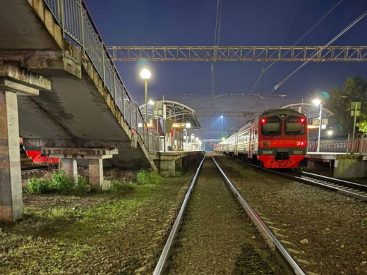Пенсионеры погибли в машине, которую снёс пассажирский поезд в Воронежской области