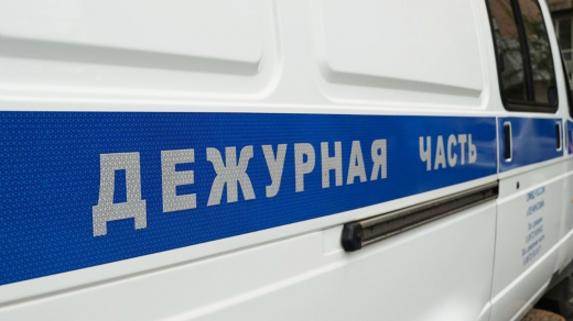 В Москве сотрудники Росгвардии задержали женщину в розыске за неуплату алиментов