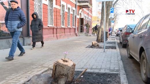 Почему спилили каштаны на «парижской» улице в Воронеже?