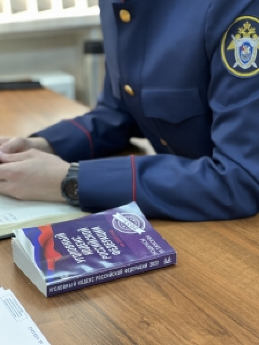 В Чехове два местных жителя обвиняются в хищении, совершенном с банковского счета