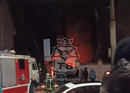 Пожар у ярмарки на улице Донбасской попал на видео в Воронеже