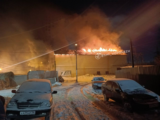 Полыхающий дом возле детской больницы засняли на видео в Воронеже