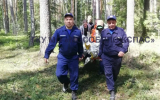 «Мособлпожспас»: Пенсионер провел в лесу под Шатурой 5 дней без еды и воды