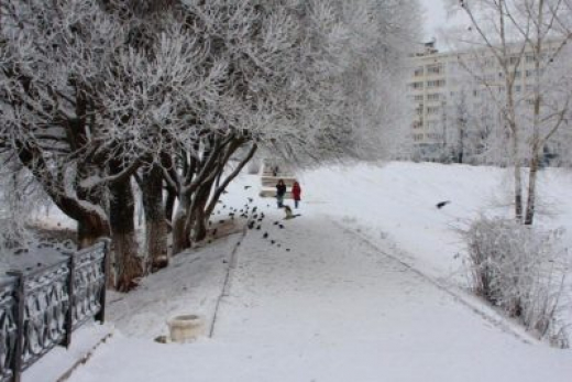 Прогноз погоды в Воронеже на вторник, 31 января