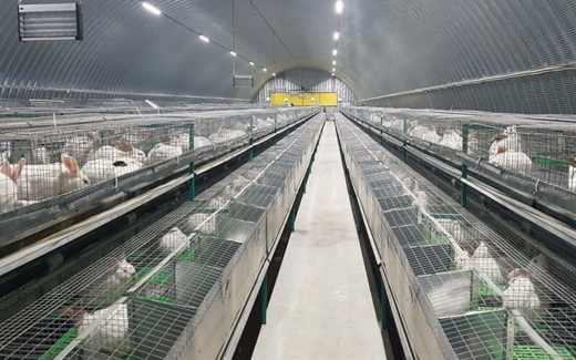 Несостоявшийся тамбовский комплекс по разведению кроликов потерял в цене 30 млн рублей