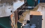 Жители воронежского СНТ обратились к спасателям из-за затоплений