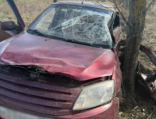 «Лада Гранта» влетела в дерево в Воронежской области: погиб водитель