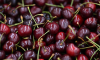 В Москве 300 граммов черешни продают за 4 тысячи рублей