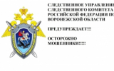 Следственное управление СК России по Воронежской области предупреждает граждан о телефонных мошенниках, которые убеждают людей совершать поджоги
