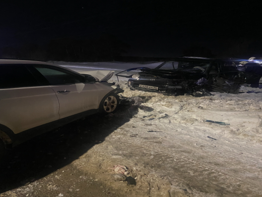 Взрыв газового баллона в машине предотвратили воронежские спасатели