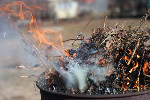 МЧС: С 20 апреля в Московской области вводится особый противопожарный режим