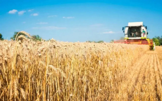 Изъятый у Ходыкина зернотрейдер «Родные поля» включили в план приватизации до 2028 года