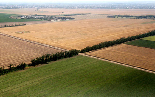 Рекордные урожаи и рост экспорта: результаты агропромышленного сектора за 2025 год