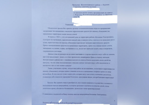 Жители воронежского микрорайона «Электроника» создали петицию на имя прокурора с просьбой избавить их от «закладчиков»