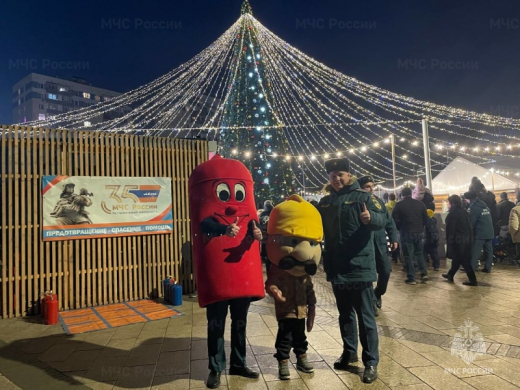 «Зажги елку безопасно!»  Массовое профилактическое мероприятие проведено в Ленинском округе