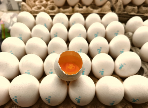 520 яиц на одного воронежца: региональные птицефабрики поставили рекорд