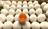 520 яиц на одного воронежца: региональные птицефабрики поставили рекорд