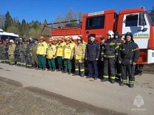 В Одинцовском городском округе проведены учения по тушению природных пожаров