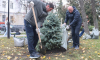 Рябины, акации, сирени и ели появились в сквере Никитина после высадки с участием мэра Воронежа