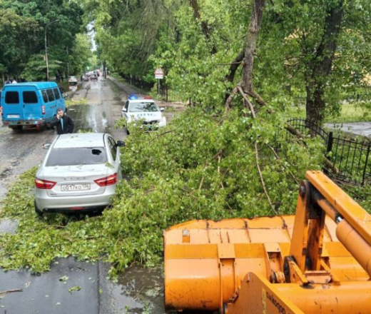 В Воронеже из-за урагана упало более 30 деревьев