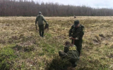 Почти 2 тыс. сеянцев ели высадили в лесах под Наро-Фоминском