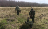Почти 2 тыс. сеянцев ели высадили в лесах под Наро-Фоминском
