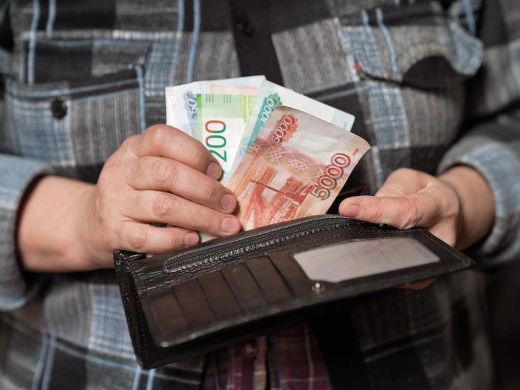 Rambler&Co: 24% россиян согласны получать от 50 до 75 тысяч рублей в месяц