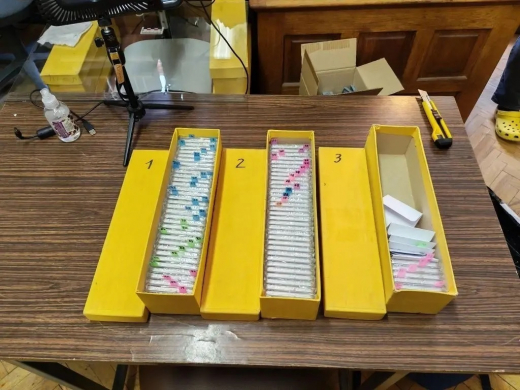 Укравшего во Франции монеты на 53 млн руб. Кастелейна задержали в Москве