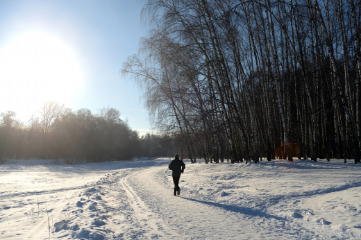 Собянин: В Москве подготовили более 700 километров лыжных трасс