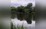Неизвестные снова пытаются осушить озеро Круглое в Воронеже