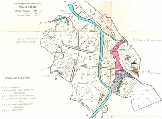 В госсобственность вернули лес под Воронежем, незаконно проданный после распада СССР