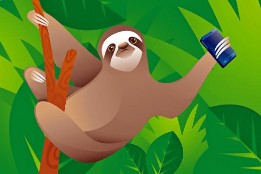 Низкая пропускная способность стала самым распространенным багом