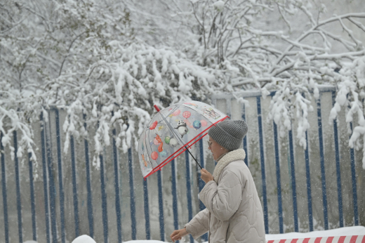 Московские парки закрыли из-за непогоды 27 апреля