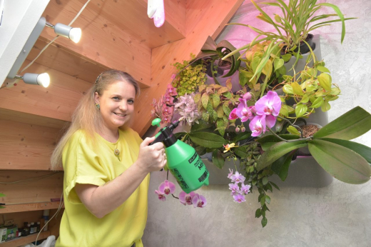 Гостиницу для растений открыла жительница Воронежа: вы удивитесь, сколько она зарабатывает