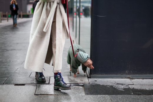 Синоптик Тишковец предупредил о снеге и гололедице в Москве 20 апреля